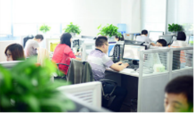 250ml 500ml 1000ml botella química de los jarros del estilo del uso F del ANIMAL DOMÉSTICO del galón de 1 litro del HDPE plástico del contenedor de almacenamiento 1