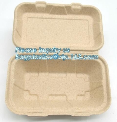 Carne del almidón de maíz del servicio de mesa/torta biodegradable abonable/bandeja rectangular