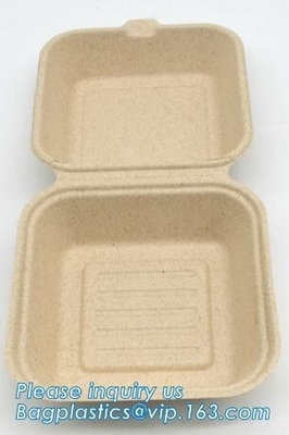 Carne del almidón de maíz del servicio de mesa/torta biodegradable abonable/bandeja rectangular