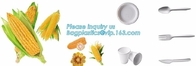 Ampolle la bandeja de empaquetado del cemento del PLA del almidón de maíz de Tray Rectangular Plastic Food Tray