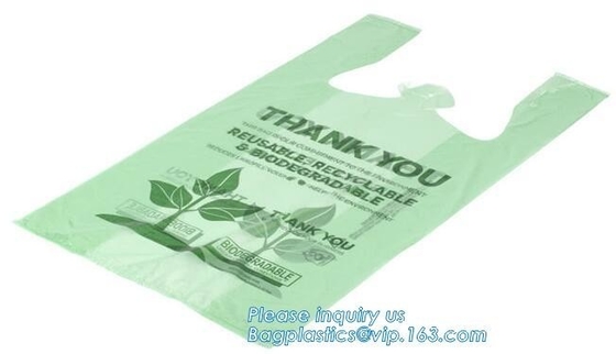 Bolso plástico biodegradable casero de la fruta de la comida del congelador del embalaje del HDPE de los bolsos que hacen compras