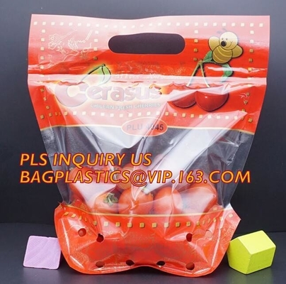 Las frutas que empaquetan el bolso/la bolsa de plástico con Zip lockkk, agujeros de las uvas de aire relampagan las bolsas de plástico de la manija, bolso con los agujeros de respiradero para la uva a