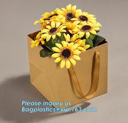 Indio de lujo el papel de regalo que se casa del hermoso diseño bolsa las bolsas de papel al por mayor con el estilo de HandleElegant del Co de lujo