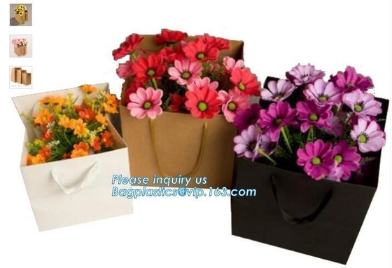 Bolsa de papel negra de lujo con la bolsa del logotipo para hacer compras, portador de papel de encargo del bolso del regalo de Logo Printed Shopping Bag Luxury