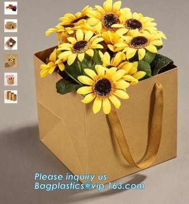 Bolsa de papel negra de lujo con la bolsa del logotipo para hacer compras, portador de papel de encargo del bolso del regalo de Logo Printed Shopping Bag Luxury