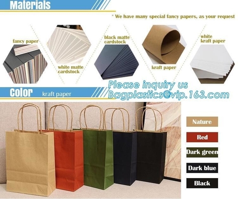 Bolso de compras de papel torcido de lujo impreso de la manija del empaquetado al por menor de Eco con el logotipo