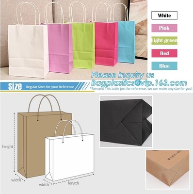 Bolso de compras de papel torcido de lujo impreso de la manija del empaquetado al por menor de Eco con el logotipo