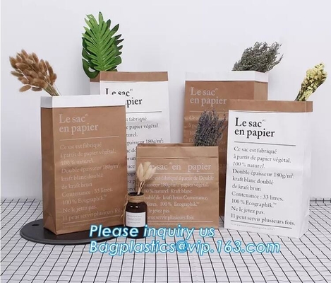 Los bolsos de Laudry Kraft, bolsos de ropa, paquete reciclaron la bolsa de papel marrón de Kraft torcieron las compras de las manijas que empaquetaban la bolsa de papel de Kraft