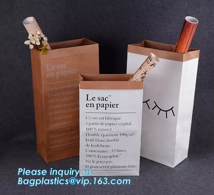 Los bolsos de Laudry Kraft, bolsos de ropa, paquete reciclaron la bolsa de papel marrón de Kraft torcieron las compras de las manijas que empaquetaban la bolsa de papel de Kraft