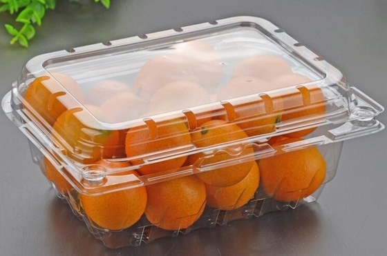 Los envases plásticos vendedores calientes del bocadillo del ANIMAL DOMÉSTICO apelmazan la caja de la comida para llevar del plástico del envase del pan con bagease combinado de la cubierta