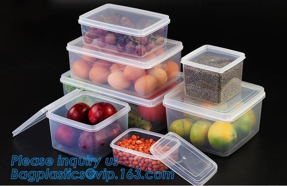 Caja plástica del preservativo de comida del sistema del bote del almacenamiento de la comida de los pp de la venta directa de la fábrica, caja de almacenamiento casera plástica de la comida fresca del uso