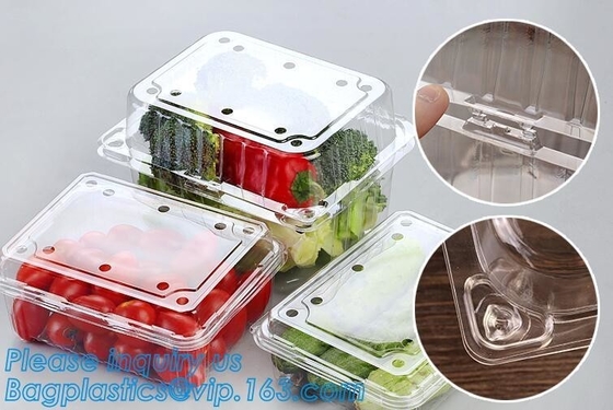 Envase de comida de empaquetado de la ampolla, envase disponible de la ensalada de fruta de la ampolla, caja plástica de la fruta de la ampolla/envase/fruta