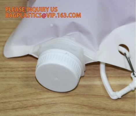 bolso que embala del jugo fresco de la sandía de 5L 220L en caja con la válvula automática del canalón barato, bolso del canalón/fruta fresca Juice Packing D