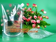 Del levantar bolso de Juice Drink Packaging Spout Pouch de la fruta/Juice Doypack With Spout Cap líquidos de encargo plásticos reutilizables PACKA