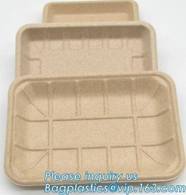 PLACA BIODEGRADABLE de la PAJA del TRIGO del CERTIFICADO del FDA, placa degradable de la paja del trigo de la placa de cena