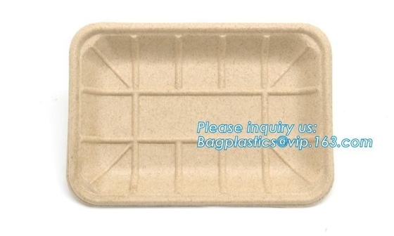 8 bandejas biodegradables y abonablees de la caña de azúcar del inchSquare, bandeja abonable de la porción de la pulpa de la caña de azúcar, suga del bagazo de la bandeja del almuerzo