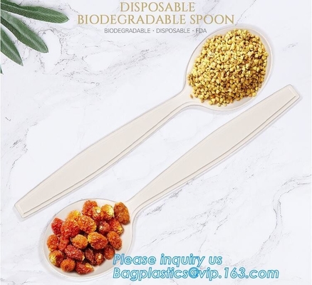almidón de maíz biodegradable directo de la fábrica cuchara de postre de 5 pulgadas, cuchara biodegradable disponible pac del almidón de maíz de la categoría alimenticia