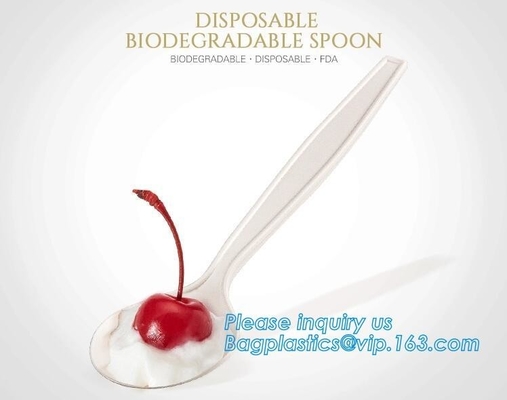 almidón de maíz biodegradable directo de la fábrica cuchara de postre de 5 pulgadas, cuchara biodegradable disponible pac del almidón de maíz de la categoría alimenticia