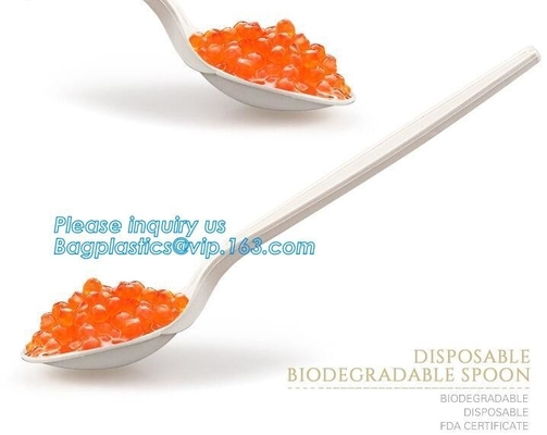 almidón de maíz biodegradable directo de la fábrica cuchara de postre de 5 pulgadas, cuchara biodegradable disponible pac del almidón de maíz de la categoría alimenticia