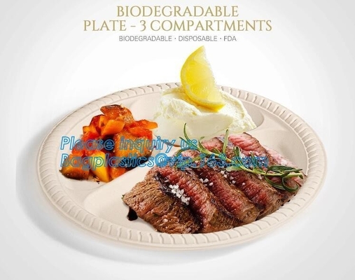 El bagazo biodegradable amistoso de la caña de azúcar de Eco platea disponible, placa biodegradable disponible de la pulpa del bagazo de la caña de azúcar para
