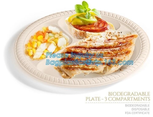 El bagazo biodegradable amistoso de la caña de azúcar de Eco platea disponible, placa biodegradable disponible de la pulpa del bagazo de la caña de azúcar para