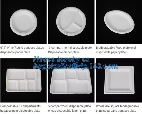 el envase biodegradable de los alimentos de preparación rápida del almidón de maíz, envase de comida biodegradable del almidón de maíz de la caja fabrica el paquete del bagease