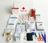 Bolso modificado para requisitos particulares de Logo First Aid Supplies/del asistente de la cocina/pequeño equipo de primeros auxilios, primeros auxilios médicos Kit With Supplies Mini Hot
