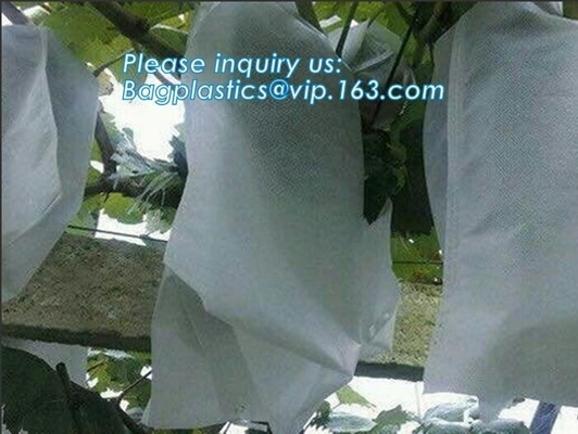 Tela no tejida agrícola de la sombrilla ULTRAVIOLETA anti, cubierta de tierra no tejida de /agriculture de la tela del spunbond agrícola de los pp para el pl