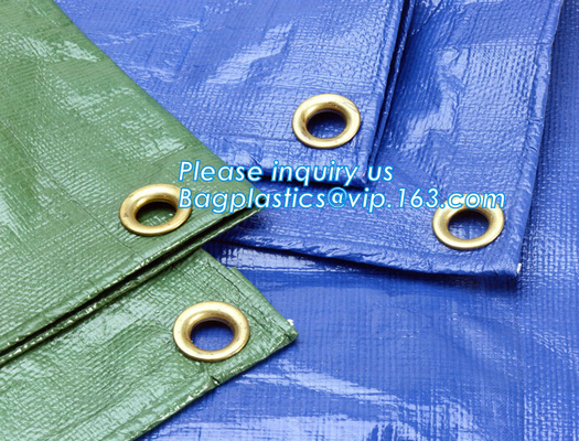 Eco impreso de encargo amistoso recicla los PP reutilizables laminó a Tote Shopping Bags no tejido, las compras plegables recicla los PP no
