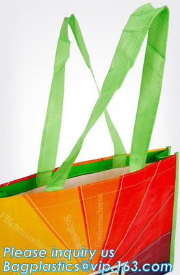 Eco Tote Shopping Carry Fabric amistoso PP laminó el bolso tejido reciclable, las compras plegables de encargo recicla los PP no tejidos