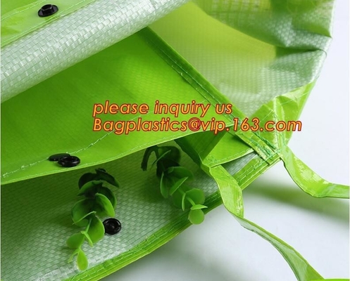 la bolsa de asas del polipropileno, bolso promocional del maquillaje de la tela no tejida de Tote Fabric Polypropylene Laminated PP de las compras del vino, OEM