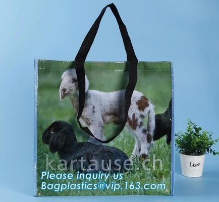la transferencia de calor imprimió los bolsos de compras plegables tejidos los pp del totalizador del multifuction de la fruta, tela tejida 60gsm-140gsm del eco, optimizando