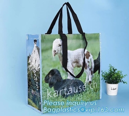 la transferencia de calor imprimió los bolsos de compras plegables tejidos los pp del totalizador del multifuction de la fruta, tela tejida 60gsm-140gsm del eco, optimizando
