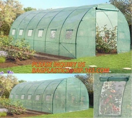 Hoja plástica Mini Garden Green House Walk agrícola del policarbonato en bóveda