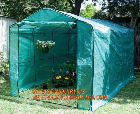 Hoja plástica Mini Garden Green House Walk agrícola del policarbonato en bóveda