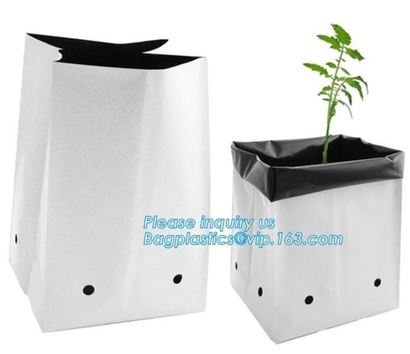 Los bolsos plásticos del plantador del jardín de polietileno del LDPE para el almácigo de la verdura, del árbol y de la flor, LDPE plástico del agujero de 15 GALONES crecen B