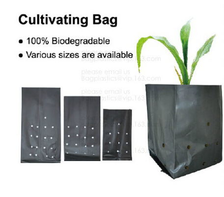 Bolso creciente plástico blanco negro estabilizado ULTRAVIOLETA eficaz/bolso enorme del plantador del árbol del polietileno, bolso polivinílico del almácigo 5 galones