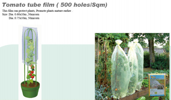 LOS PP FABRC NO TEJIDO, CUBIERTA DEL INVIERNO, PELÍCULA DE MICRO-PERFORATED, PELÍCULA DEL TUBO DEL TOMATE, PELÍCULA VERDE, CUBREN CON PAJOTE LA PELÍCULA, REFLEJAN LA PELÍCULA, BIODEGRADABLE