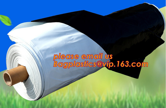 película del pajote de la fresa de la panda/cubierta de tierra blanca negra de la película de la fresa, PE/Polyethylene/Poly blanco negro resistente ULTRAVIOLETA Refle