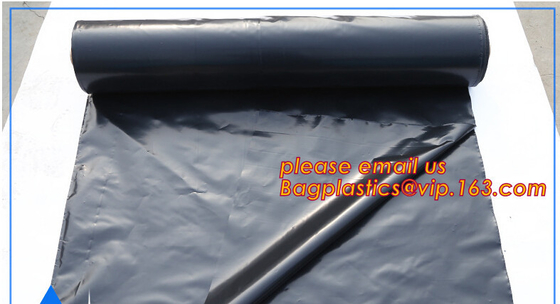 película del pajote de la fresa de la panda/cubierta de tierra blanca negra de la película de la fresa, PE/Polyethylene/Poly blanco negro resistente ULTRAVIOLETA Refle