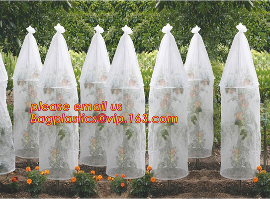 El jardín utilizó la cubierta de la película plástica del tomate, control solar de la alta transmitencia ligera que sembraba las cubiertas del invernadero del cuarto de niños, virg 100%