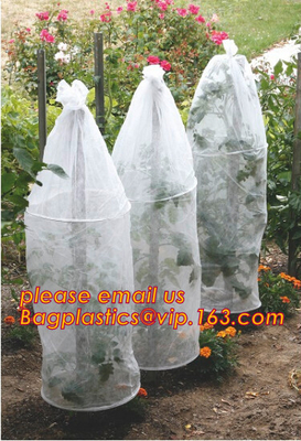 El jardín utilizó la cubierta de la película plástica del tomate, control solar de la alta transmitencia ligera que sembraba las cubiertas del invernadero del cuarto de niños, virg 100%