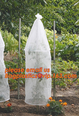 El jardín utilizó la cubierta de la película plástica del tomate, control solar de la alta transmitencia ligera que sembraba las cubiertas del invernadero del cuarto de niños, virg 100%