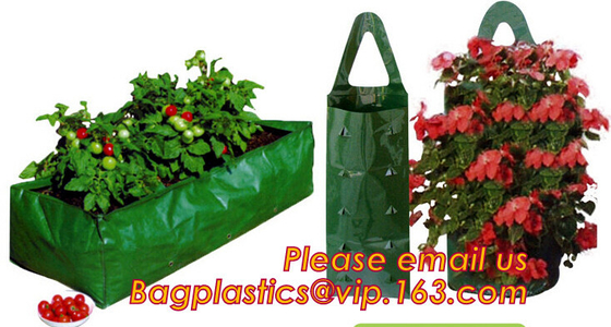 Bolsos biodegradables del jardín del plantador del OEM, bolsos crecientes colgantes de la fresa
