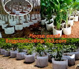 El jardín biodegradable amistoso de Eco empaqueta el fieltro sentido del plantador de la pared para crecer