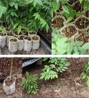 El jardín biodegradable de la horticultura empaqueta los potes del cuarto de niños del plantador del suelo del hidrocultivo