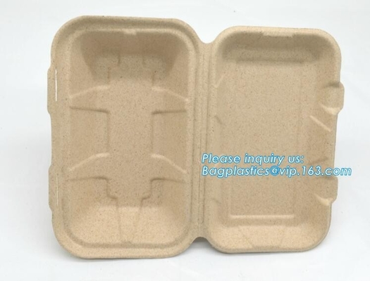 Carne del almidón de maíz del servicio de mesa/torta biodegradable abonable/bandeja rectangular