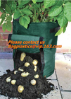 El jardín grande despide la patata crece el bolso, envase vegetal del patio del tomate del saco del plantador del jardín