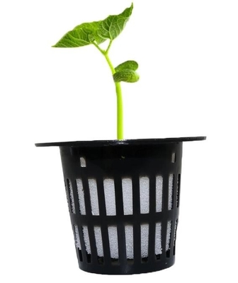 La taza neta del pote del invernadero para los potes crecientes hidropónicos Mesh Cup de la red del hidrocultivo del sistema y hace espuma