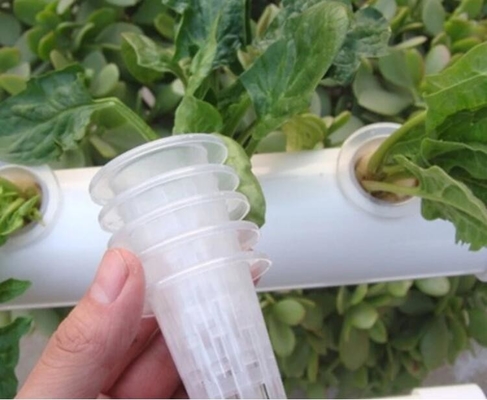 La taza neta del pote del invernadero para los potes crecientes hidropónicos Mesh Cup de la red del hidrocultivo del sistema y hace espuma